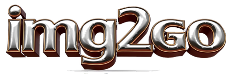 img2go logo